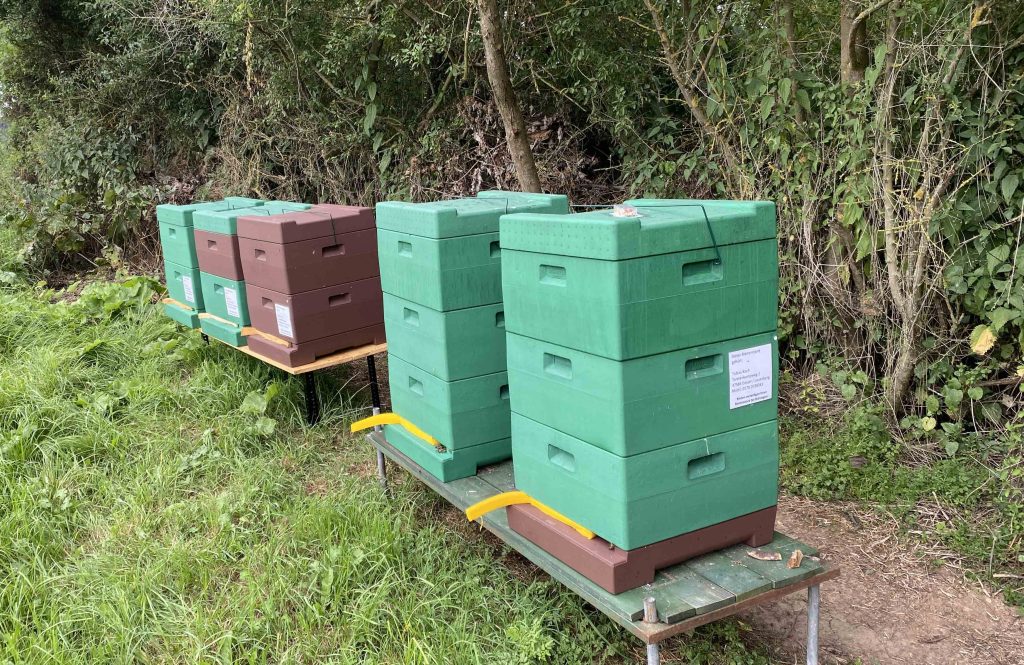 Lauenberger Honig, Imkerei Koch, Bienenstand, Honig, Bienen.